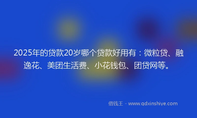 2025年的贷款20岁哪个贷款好用有：微粒贷、融逸花、美团生活费、小花钱包、团贷网等。