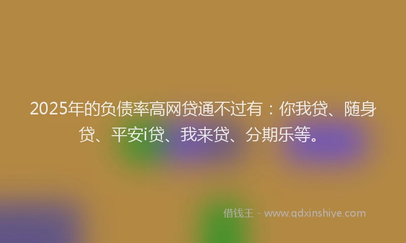 2025年的负债率高网贷通不过有：你我贷、随身贷、平安i贷、我来贷、分期乐等。