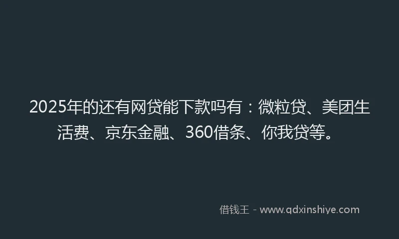 2025年的还有网贷能下款吗有：微粒贷、美团生活费、京东金融、360借条、你我贷等。