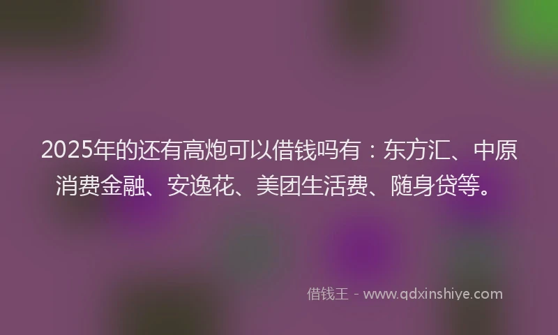 2025年的还有高炮可以借钱吗有：东方汇、中原消费金融、安逸花、美团生活费、随身贷等。