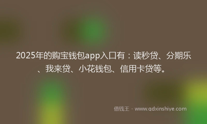 2025年的购宝钱包app入口有：读秒贷、分期乐、我来贷、小花钱包、信用卡贷等。