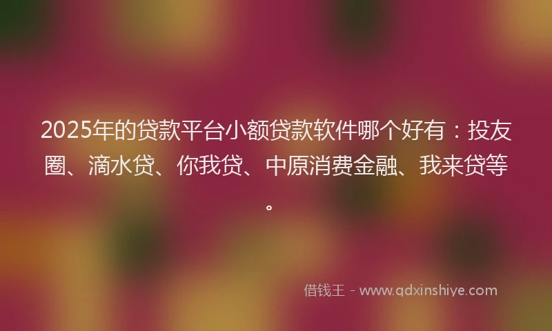 2025年的贷款平台小额贷款软件哪个好有：投友圈、滴水贷、你我贷、中原消费金融、我来贷等。
