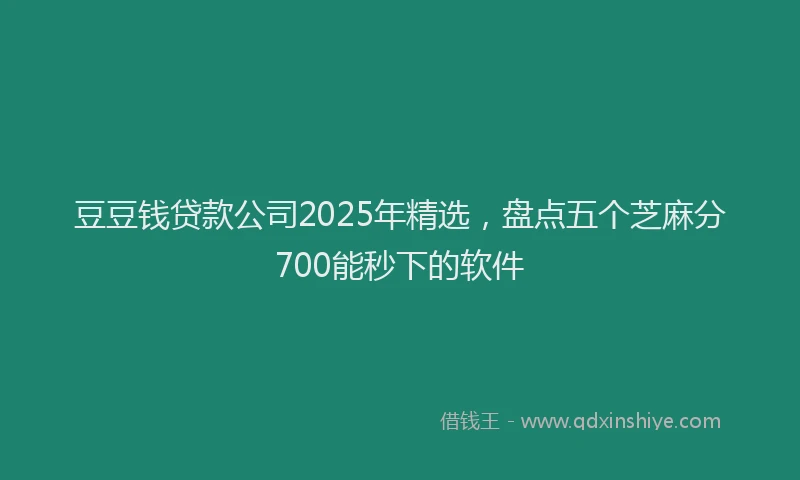 豆豆钱贷款公司2025年精选，盘点五个芝麻分700能秒下的软件
