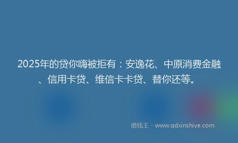 2025年的贷你嗨被拒有：安逸花、中原消费金融、信用卡贷、维信卡卡贷、替你还等。