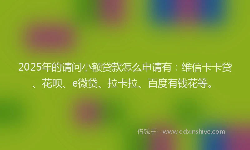 2025年的请问小额贷款怎么申请有：维信卡卡贷、花呗、e微贷、拉卡拉、百度有钱花等。