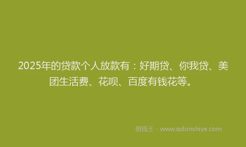2025年的贷款个人放款有：好期贷、你我贷、美团生活费、花呗、百度有钱花等。