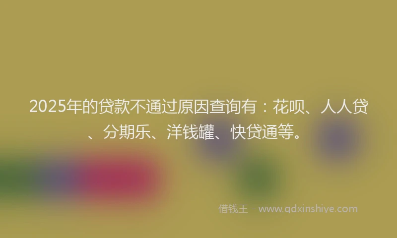 2025年的贷款不通过原因查询有：花呗、人人贷、分期乐、洋钱罐、快贷通等。