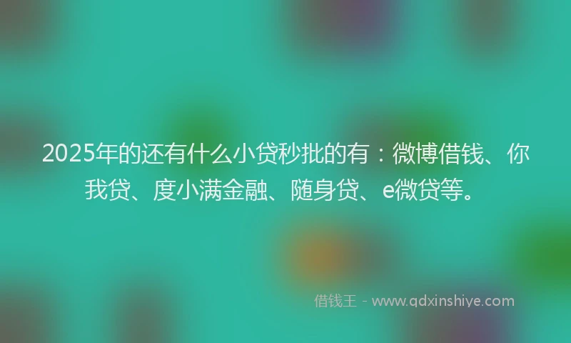 2025年的还有什么小贷秒批的有：微博借钱、你我贷、度小满金融、随身贷、e微贷等。