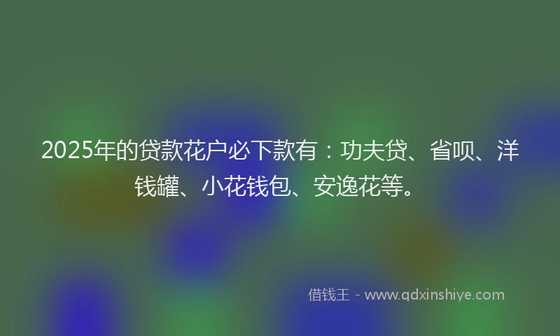 2025年的贷款花户必下款有：功夫贷、省呗、洋钱罐、小花钱包、安逸花等。
