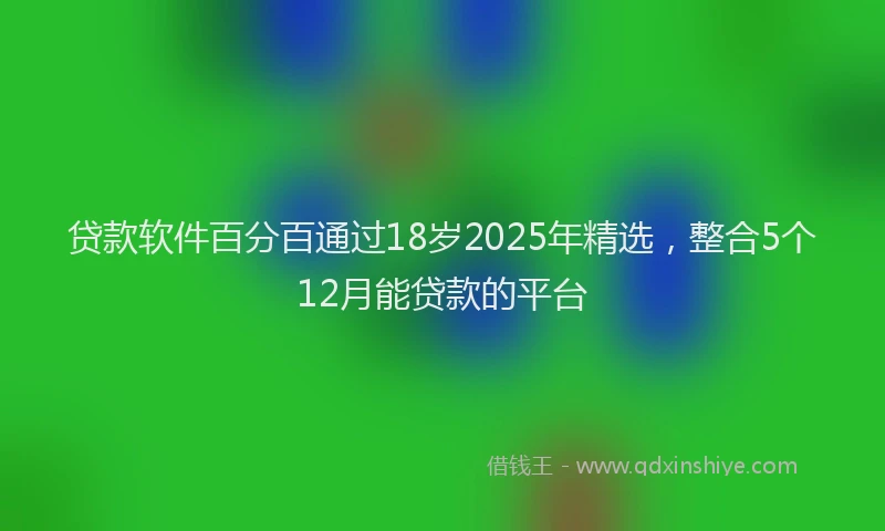 贷款软件百分百通过18岁2025年精选，整合5个12月能贷款的平台