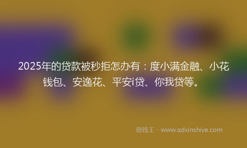 2025年的贷款被秒拒怎办有：度小满金融、小花钱包、安逸花、平安i贷、你我贷等。