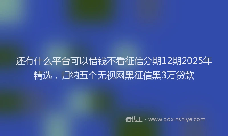 还有什么平台可以借钱不看征信分期12期2025年精选，归纳五个无视网黑征信黑3万贷款