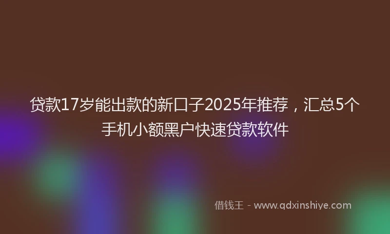 贷款17岁能出款的新口子2025年推荐，汇总5个手机小额黑户快速贷款软件