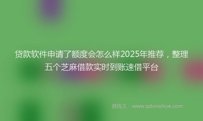贷款软件申请了额度会怎么样2025年推荐，整理五个芝麻借款实时到账速借平台