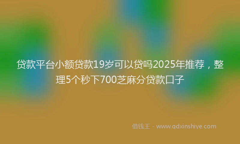 贷款平台小额贷款19岁可以贷吗2025年推荐，整理5个秒下700芝麻分贷款口子