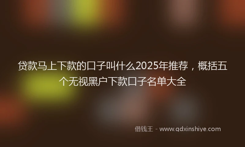 贷款马上下款的口子叫什么2025年推荐，概括五个无视黑户下款口子名单大全