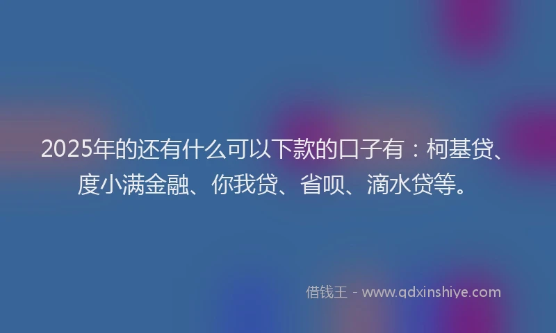 2025年的还有什么可以下款的口子有：柯基贷、度小满金融、你我贷、省呗、滴水贷等。