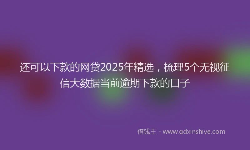 还可以下款的网贷2025年精选，梳理5个无视征信大数据当前逾期下款的口子