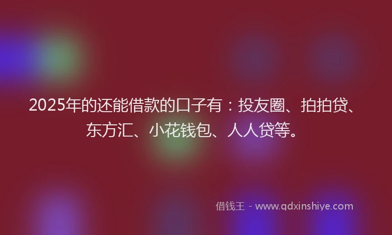2025年的还能借款的口子有：投友圈、拍拍贷、东方汇、小花钱包、人人贷等。