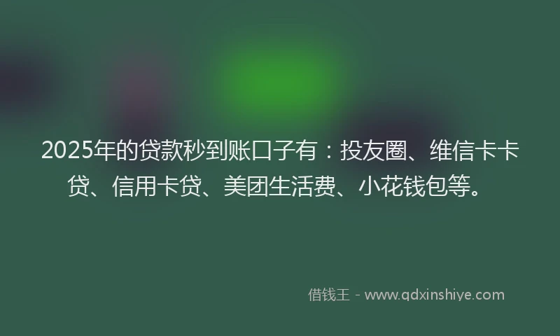 2025年的贷款秒到账口子有：投友圈、维信卡卡贷、信用卡贷、美团生活费、小花钱包等。