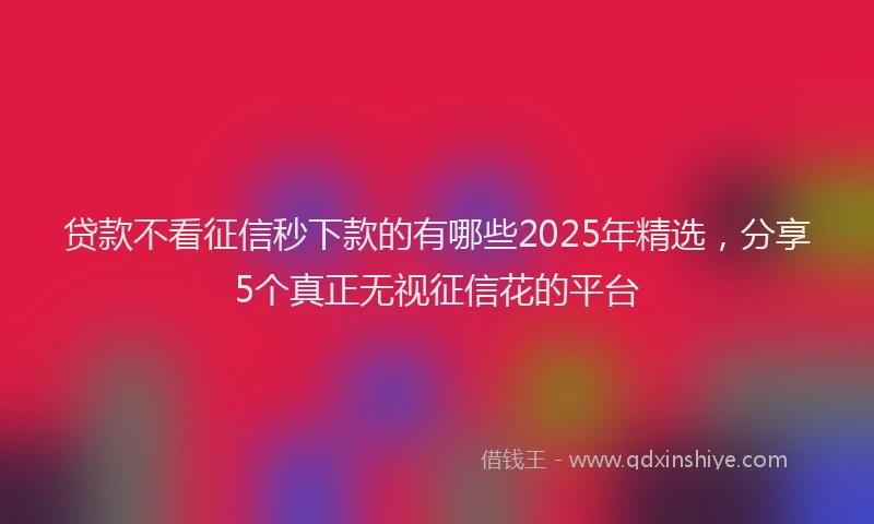 贷款不看征信秒下款的有哪些2025年精选，分享5个真正无视征信花的平台