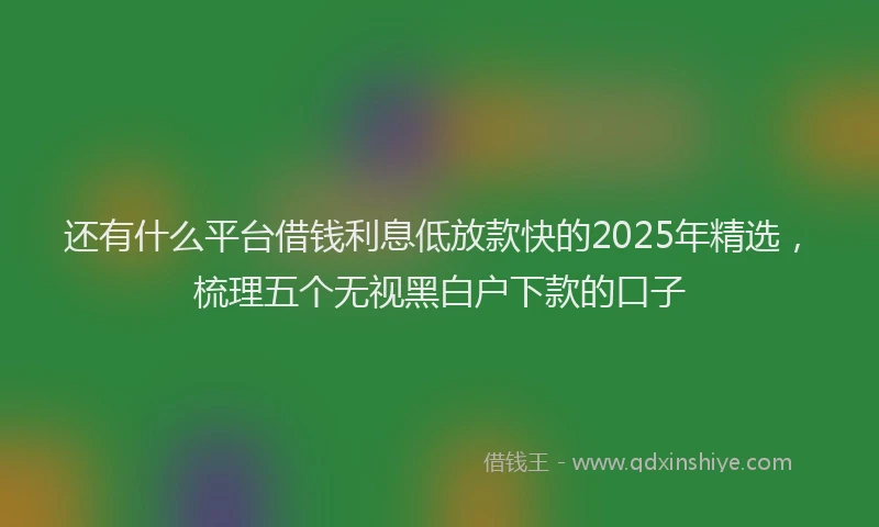 还有什么平台借钱利息低放款快的2025年精选，梳理五个无视黑白户下款的口子