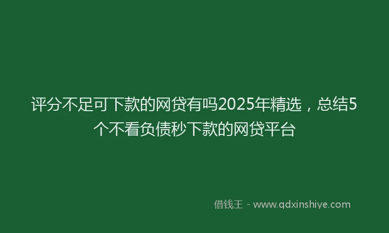 评分不足可下款的网贷有吗2025年精选，总结5个不看负债秒下款的网贷平台