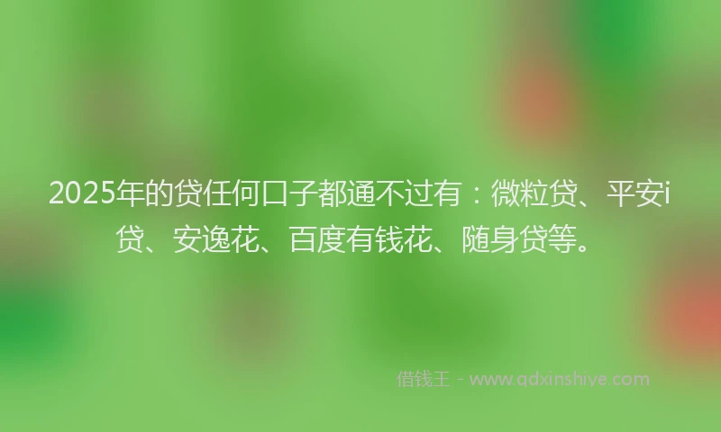 2025年的贷任何口子都通不过有：微粒贷、平安i贷、安逸花、百度有钱花、随身贷等。