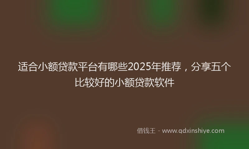 适合小额贷款平台有哪些2025年推荐，分享五个比较好的小额贷款软件