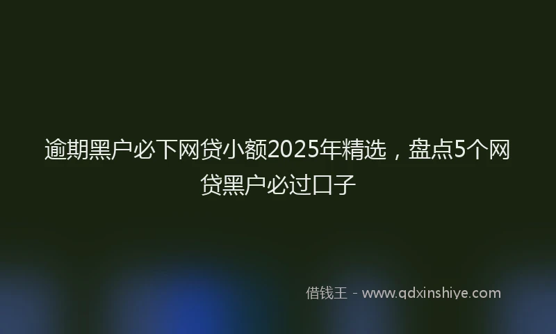 逾期黑户必下网贷小额2025年精选，盘点5个网贷黑户必过口子