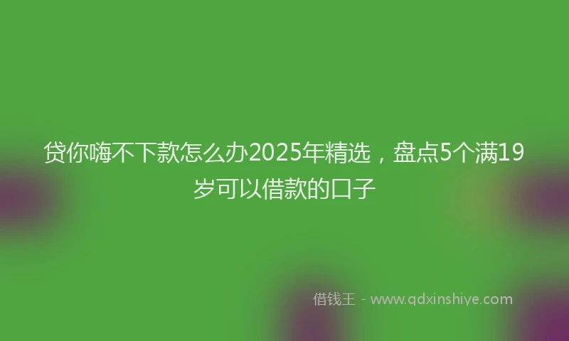 贷你嗨不下款怎么办2025年精选，盘点5个满19岁可以借款的口子