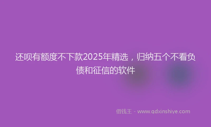 还呗有额度不下款2025年精选，归纳五个不看负债和征信的软件
