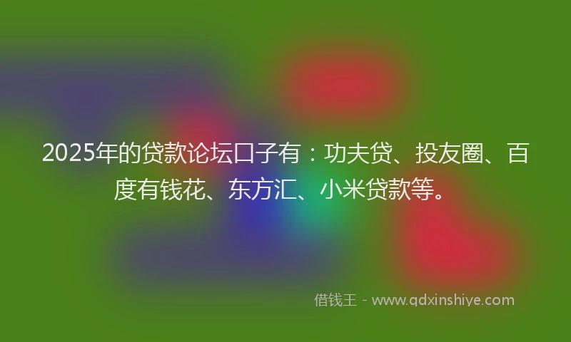 2025年的贷款论坛口子有：功夫贷、投友圈、百度有钱花、东方汇、小米贷款等。