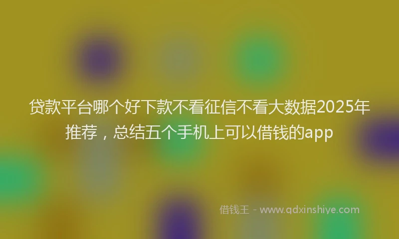 贷款平台哪个好下款不看征信不看大数据2025年推荐，总结五个手机上可以借钱的app