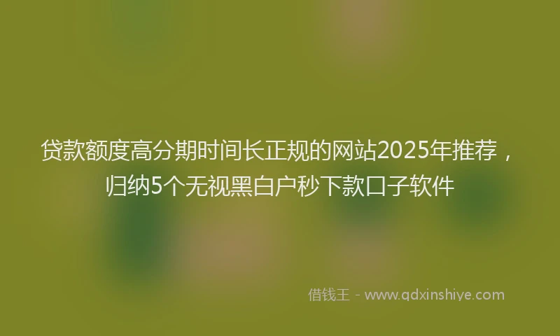 贷款额度高分期时间长正规的网站2025年推荐，归纳5个无视黑白户秒下款口子软件