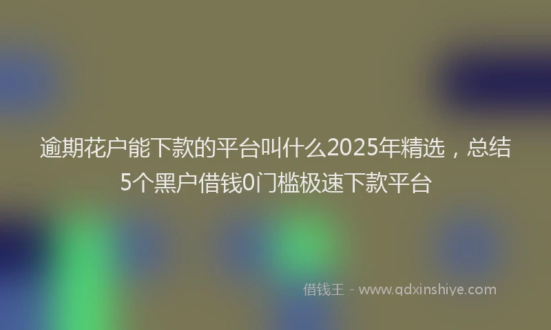 逾期花户能下款的平台叫什么2025年精选，总结5个黑户借钱0门槛极速下款平台