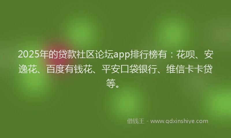 2025年的贷款社区论坛app排行榜有：花呗、安逸花、百度有钱花、平安口袋银行、维信卡卡贷等。