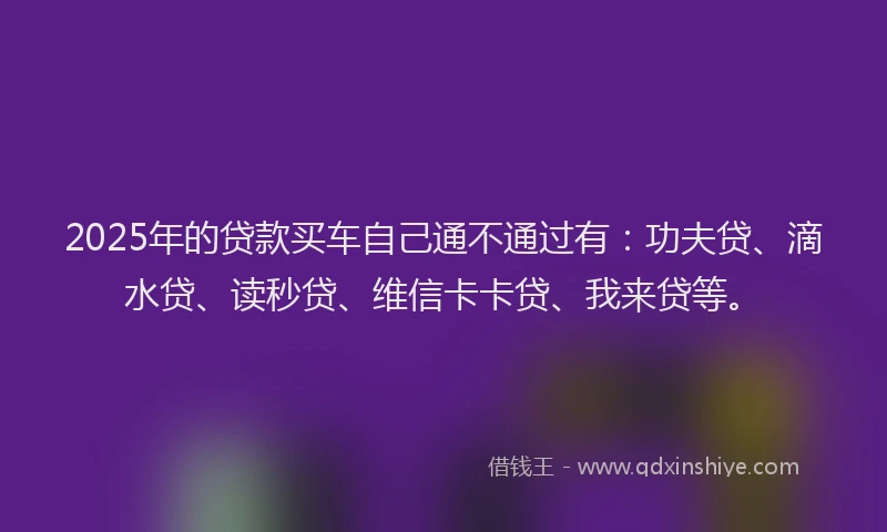 2025年的贷款买车自己通不通过有：功夫贷、滴水贷、读秒贷、维信卡卡贷、我来贷等。