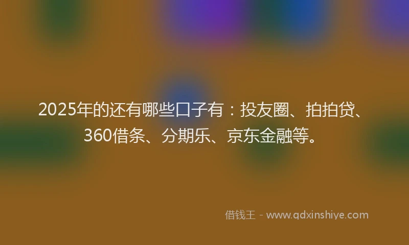 2025年的还有哪些口子有：投友圈、拍拍贷、360借条、分期乐、京东金融等。
