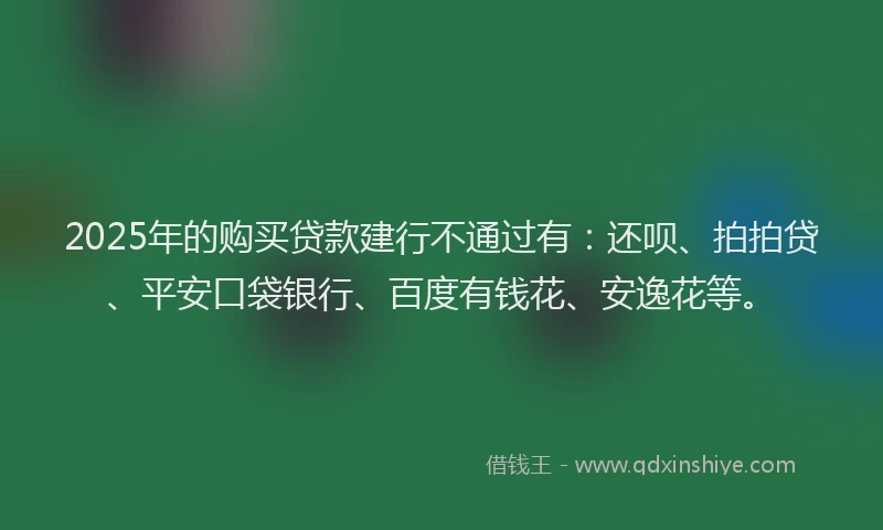 2025年的购买贷款建行不通过有：还呗、拍拍贷、平安口袋银行、百度有钱花、安逸花等。