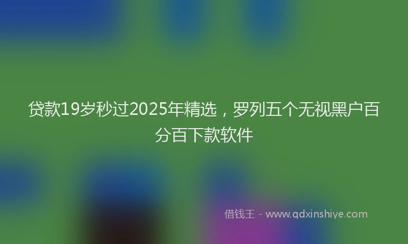 贷款19岁秒过2025年精选，罗列五个无视黑户百分百下款软件