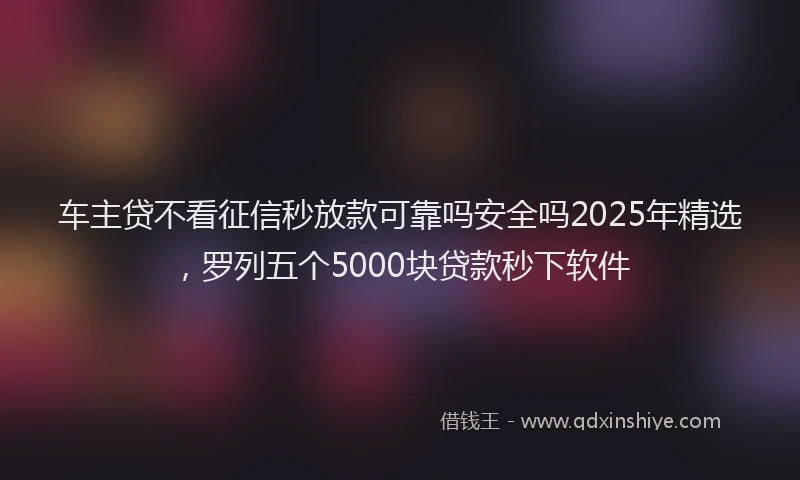 车主贷不看征信秒放款可靠吗安全吗2025年精选，罗列五个5000块贷款秒下软件