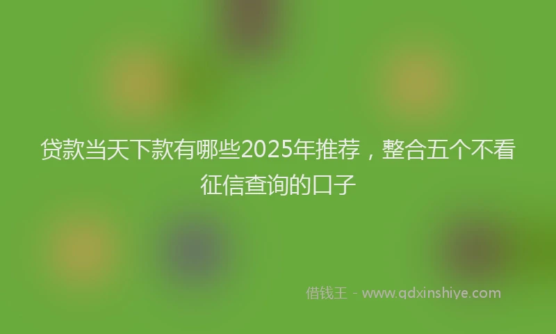 贷款当天下款有哪些2025年推荐，整合五个不看征信查询的口子