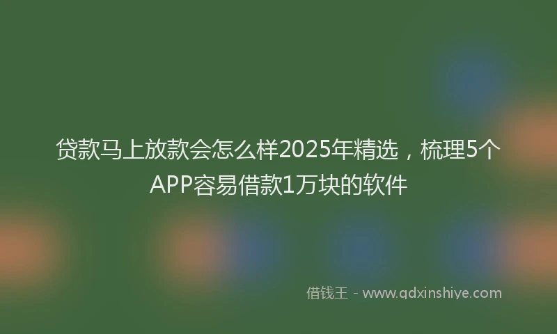 贷款马上放款会怎么样2025年精选，梳理5个APP容易借款1万块的软件
