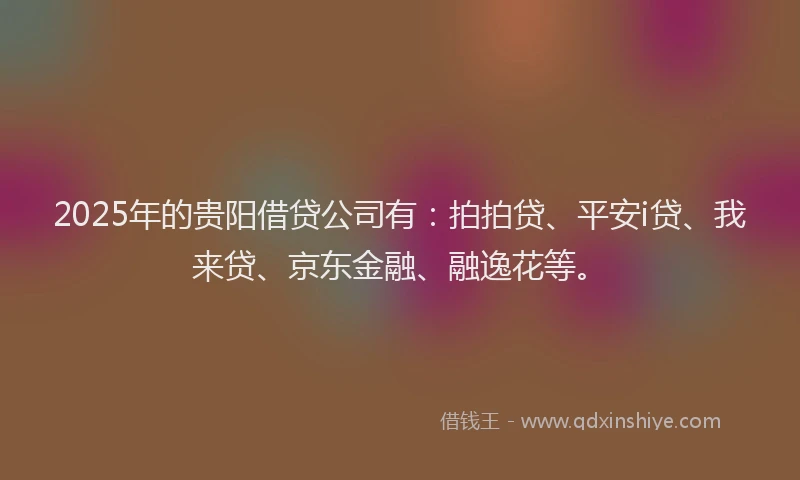 2025年的贵阳借贷公司有：拍拍贷、平安i贷、我来贷、京东金融、融逸花等。