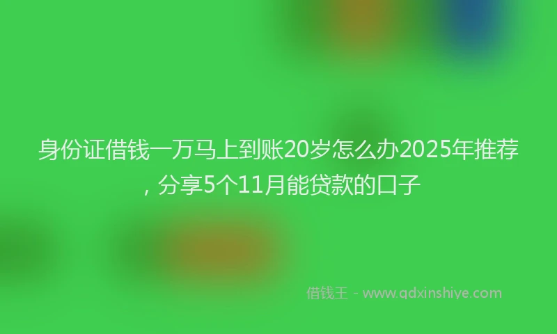 身份证借钱一万马上到账20岁怎么办2025年推荐，分享5个11月能贷款的口子