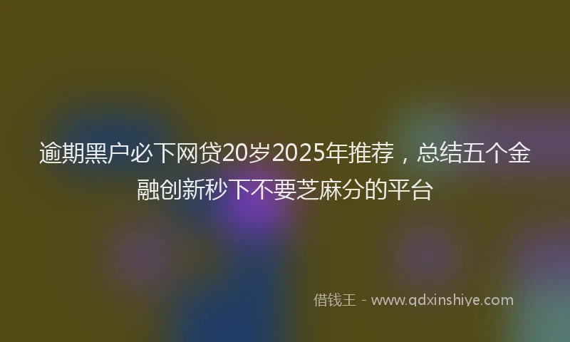 逾期黑户必下网贷20岁2025年推荐，总结五个金融创新秒下不要芝麻分的平台