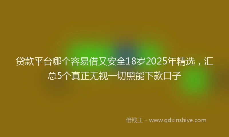 贷款平台哪个容易借又安全18岁2025年精选，汇总5个真正无视一切黑能下款口子