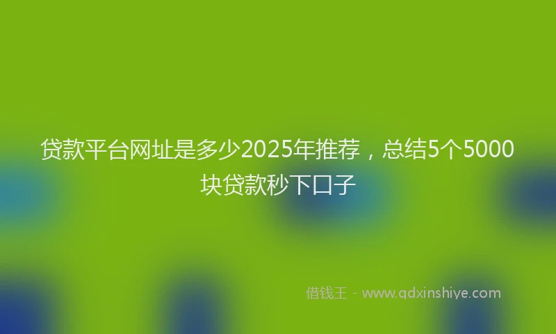 贷款平台网址是多少2025年推荐，总结5个5000块贷款秒下口子