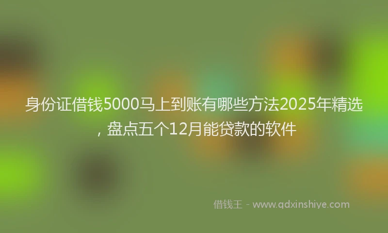 身份证借钱5000马上到账有哪些方法2025年精选，盘点五个12月能贷款的软件